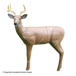 RealWild Medium Series Alert Deer 3D Target