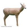 RealWild Medium Series Sneak Deer 3D Target -big shot shop 8210009