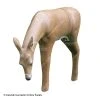 RealWild Medium Series Browsing Deer 3D Target -big shot shop 8210010 01b4cc53 79e8 44c3 87ac 60e1af449bfe
