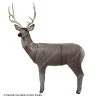 RealWild Mule Deer 3D Target -big shot shop 8210021