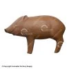 RealWild Javelina 3D Target (Brown) -big shot shop 8210039
