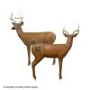RealWild Pro Hunter Buck 3D Target -big shot shop 8210048 dd
