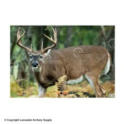 NiceTargets Deer Targets -big shot shop 8860002 broadleft