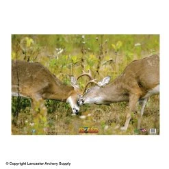 NiceTargets Deer Targets -big shot shop 8860002 fight