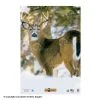 NiceTargets Deer Targets 2 NiceTargets Deer Targets -big shot shop 8860002 qtraway