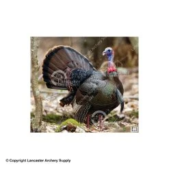 NiceTargets Turkey Target