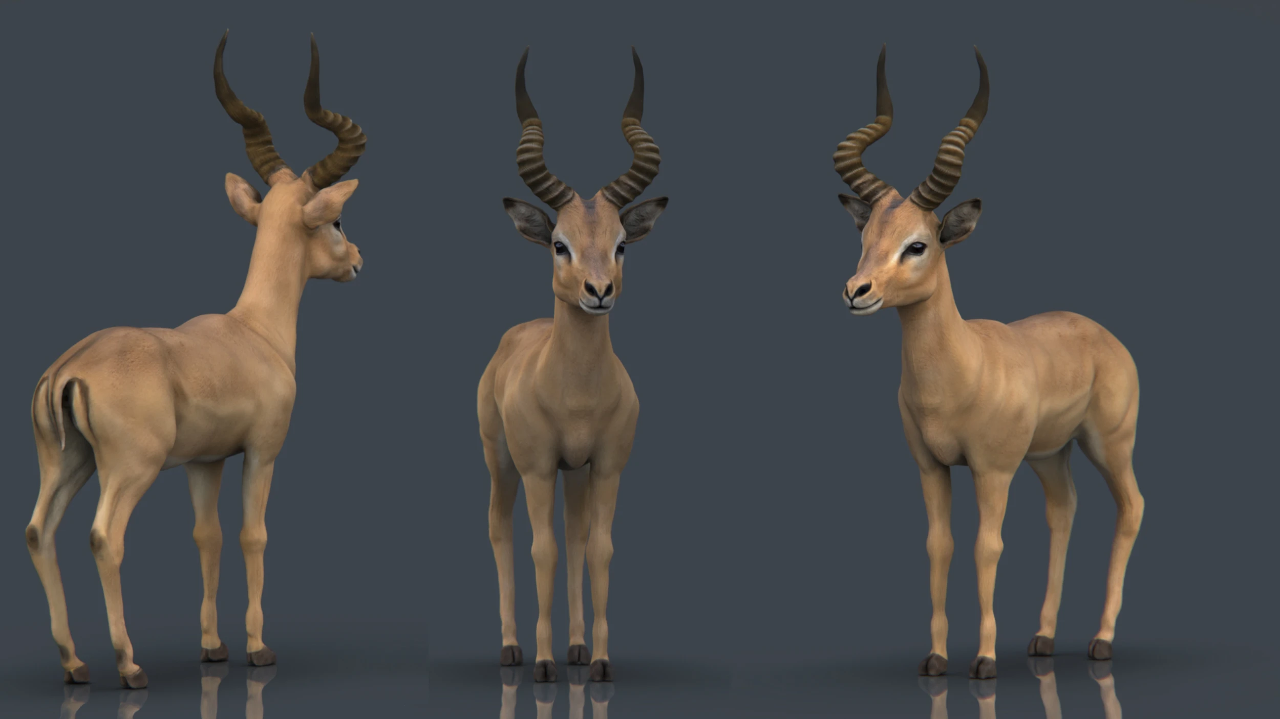 big shot shop -big shot shop 8czev6ud